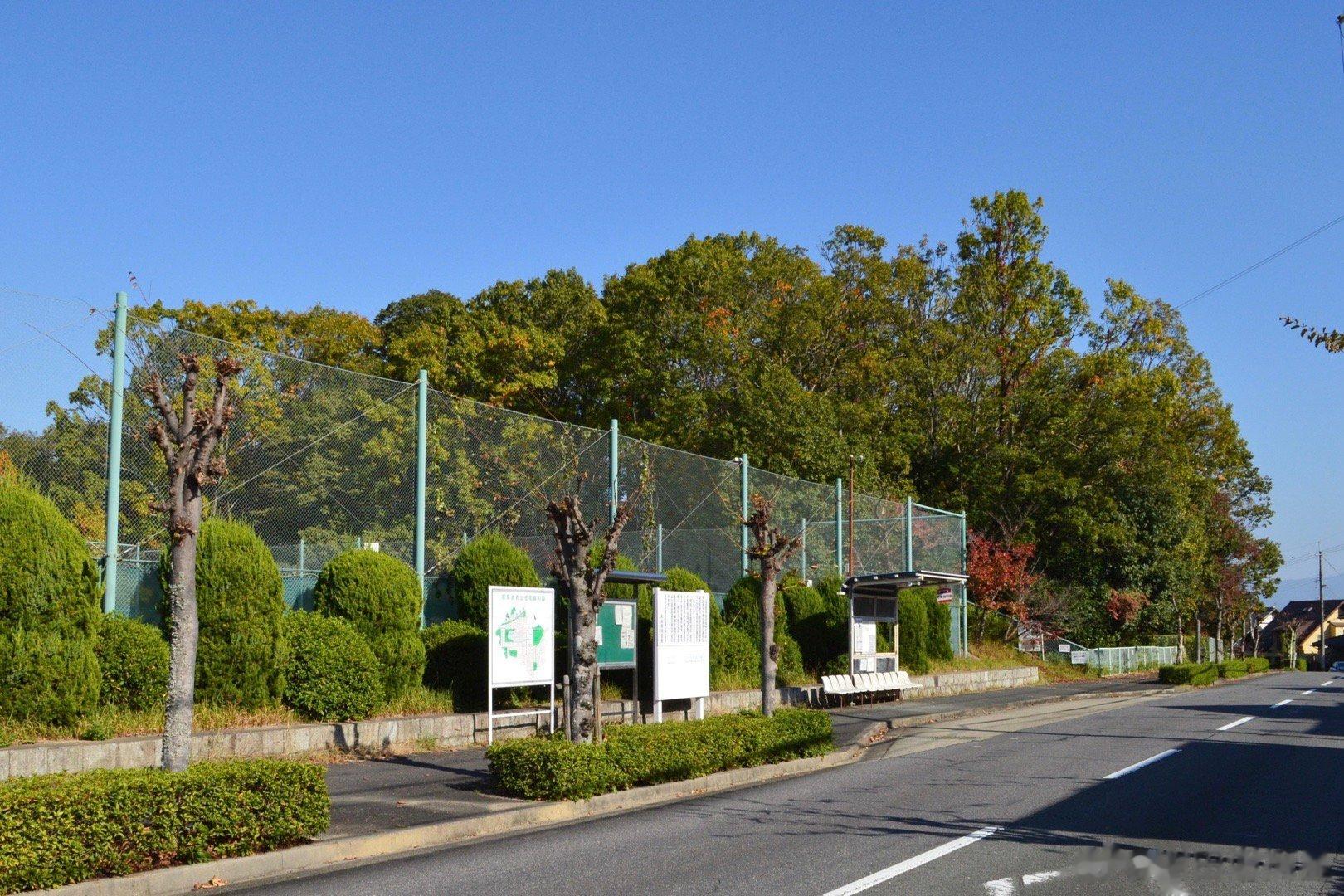 日本出土国宝级文物。鼍龙纹盾形铜镜和蛇行剑。图1是日本奈良县富雄丸山古坟，图二是