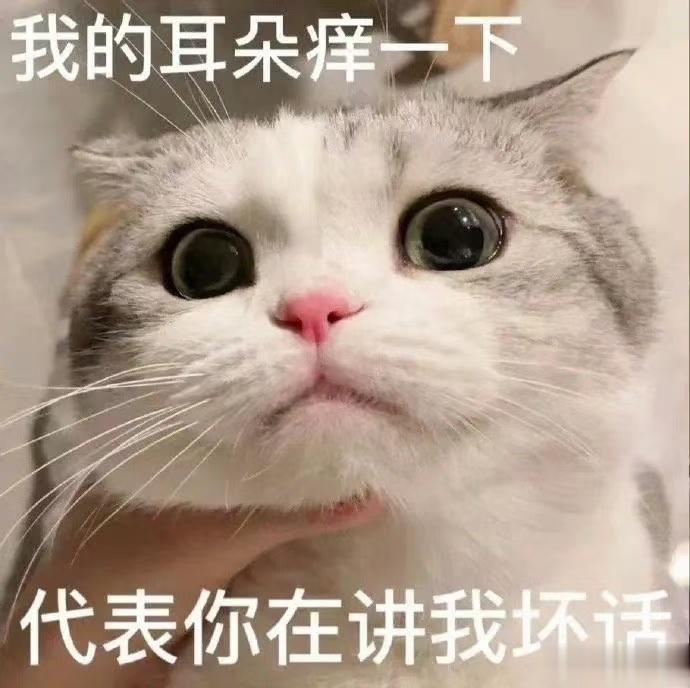 有没有和双子座谈恋爱超过三年的？来评论区告诉我一下这是种什么样的体验，突然发现我