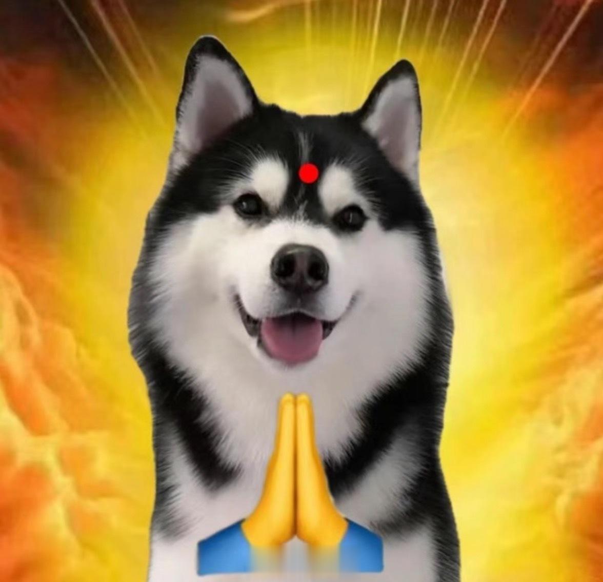 累挠挠的 ​​​