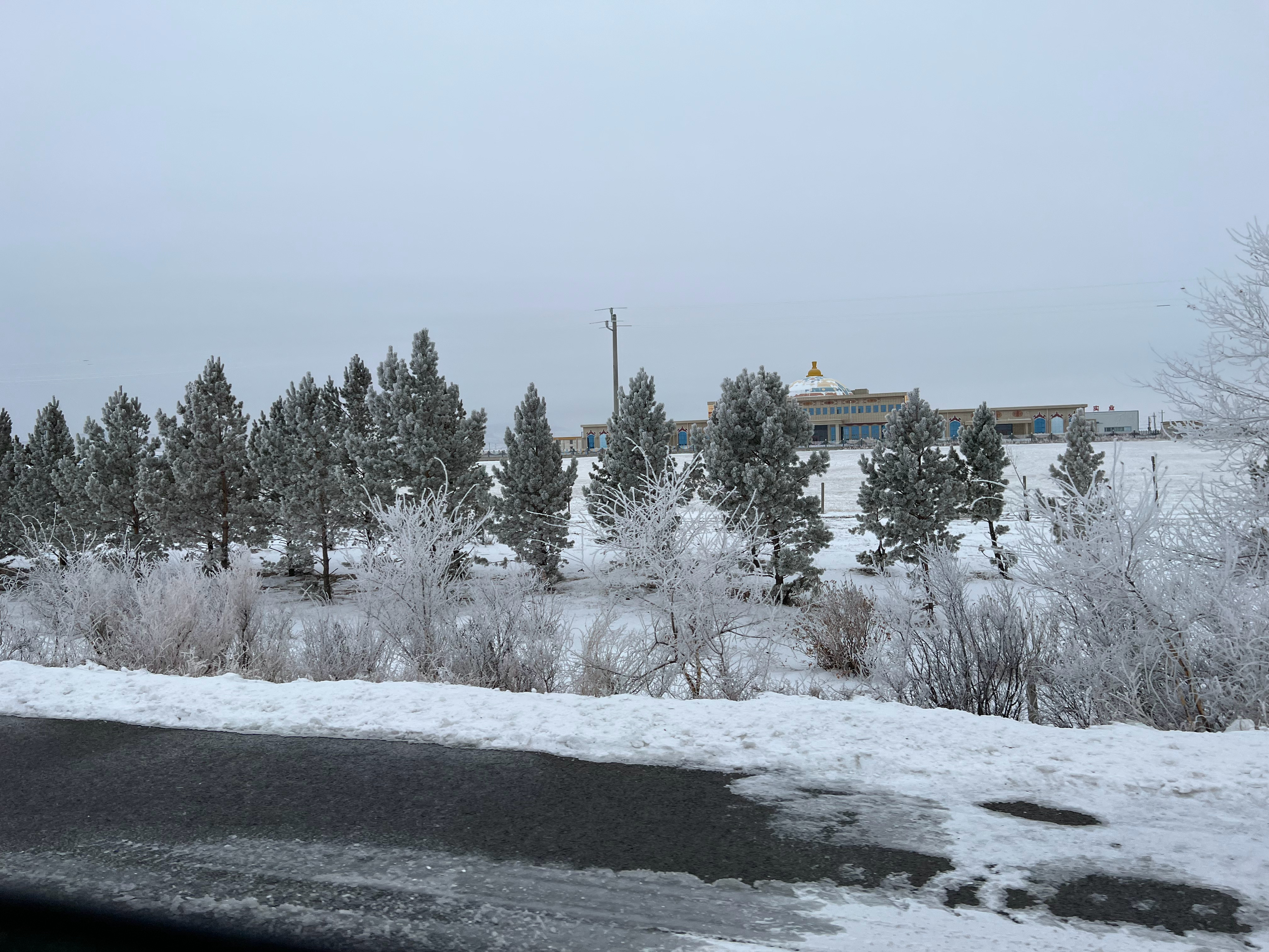 內蒙⋯這裡還好，剛聽說北部下大雪了 ​​​