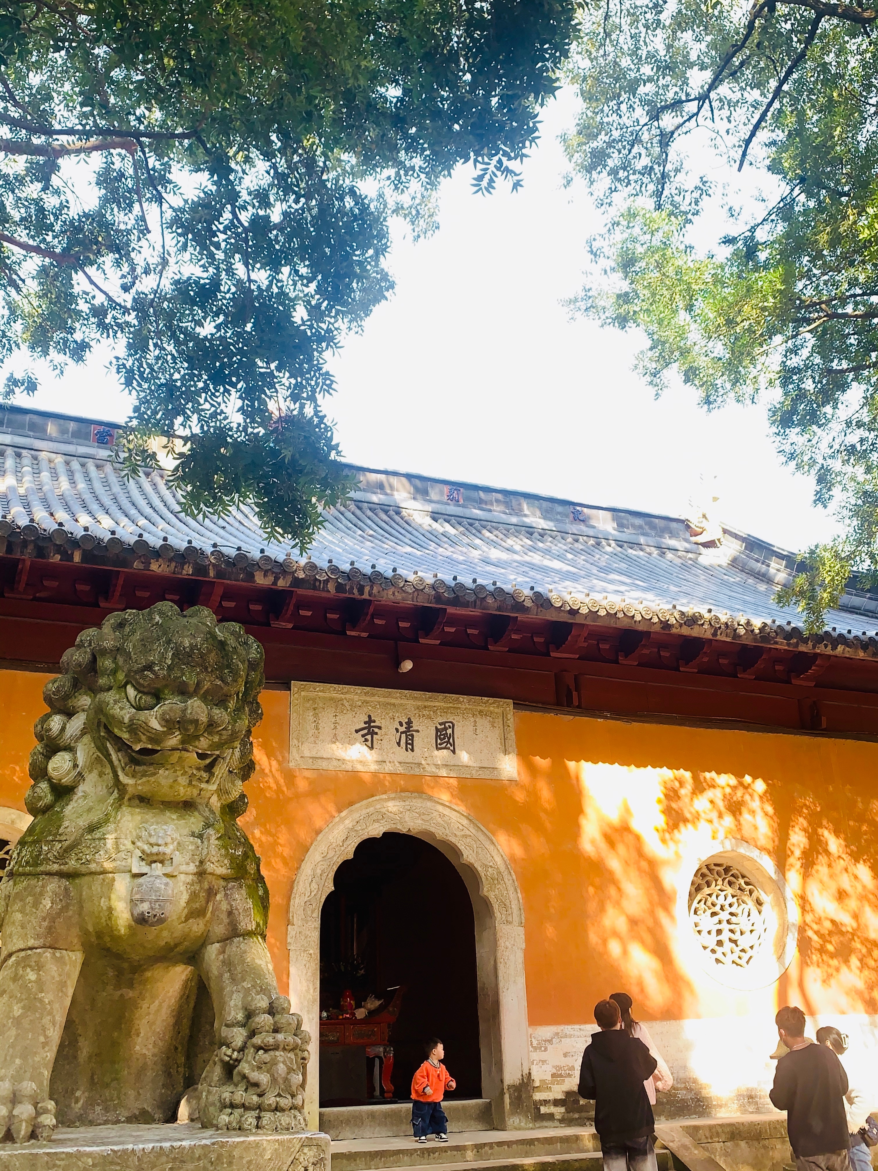 #台州·隋梅[地点]# 【今年的隋梅已经开了】隋代古刹国清寺有颗古梅树。传为隋代