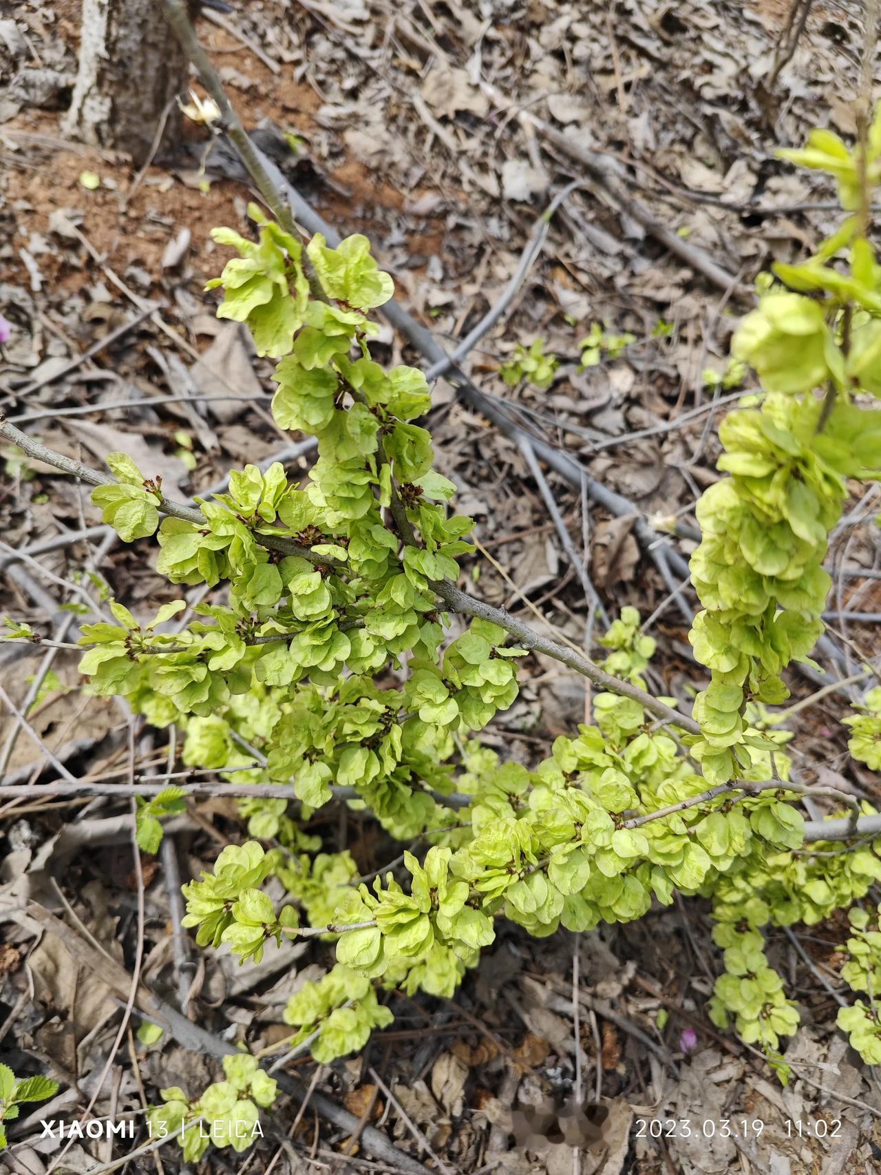 不得不说政府单位的领导退休待遇真的是太好了，今天陪人社厅领导看了一个干部养老院的