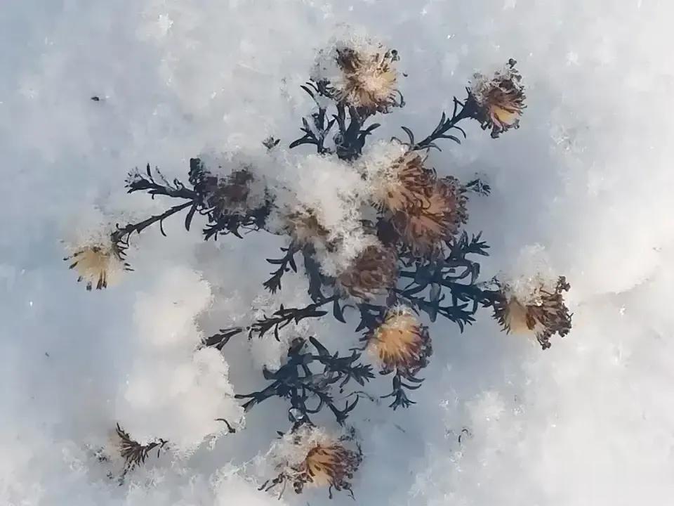  
   在清晨，天空不作美，