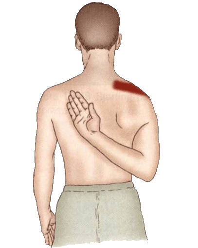 【实用保健贴：肩部放松操】一定