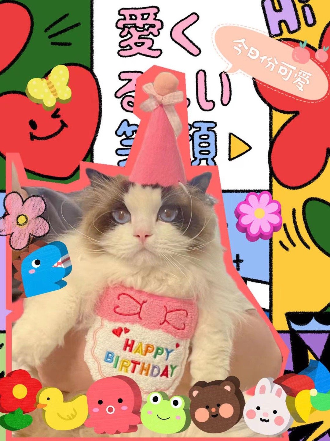 猫猫也需要仪式感（家长） ​​​
