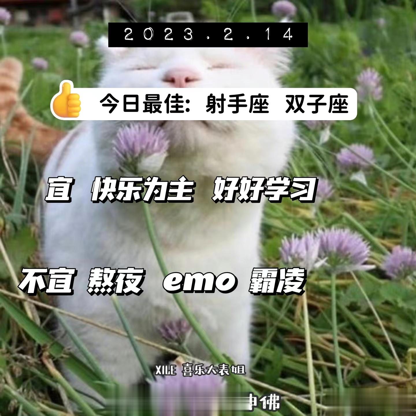 每日提醒 ​​​