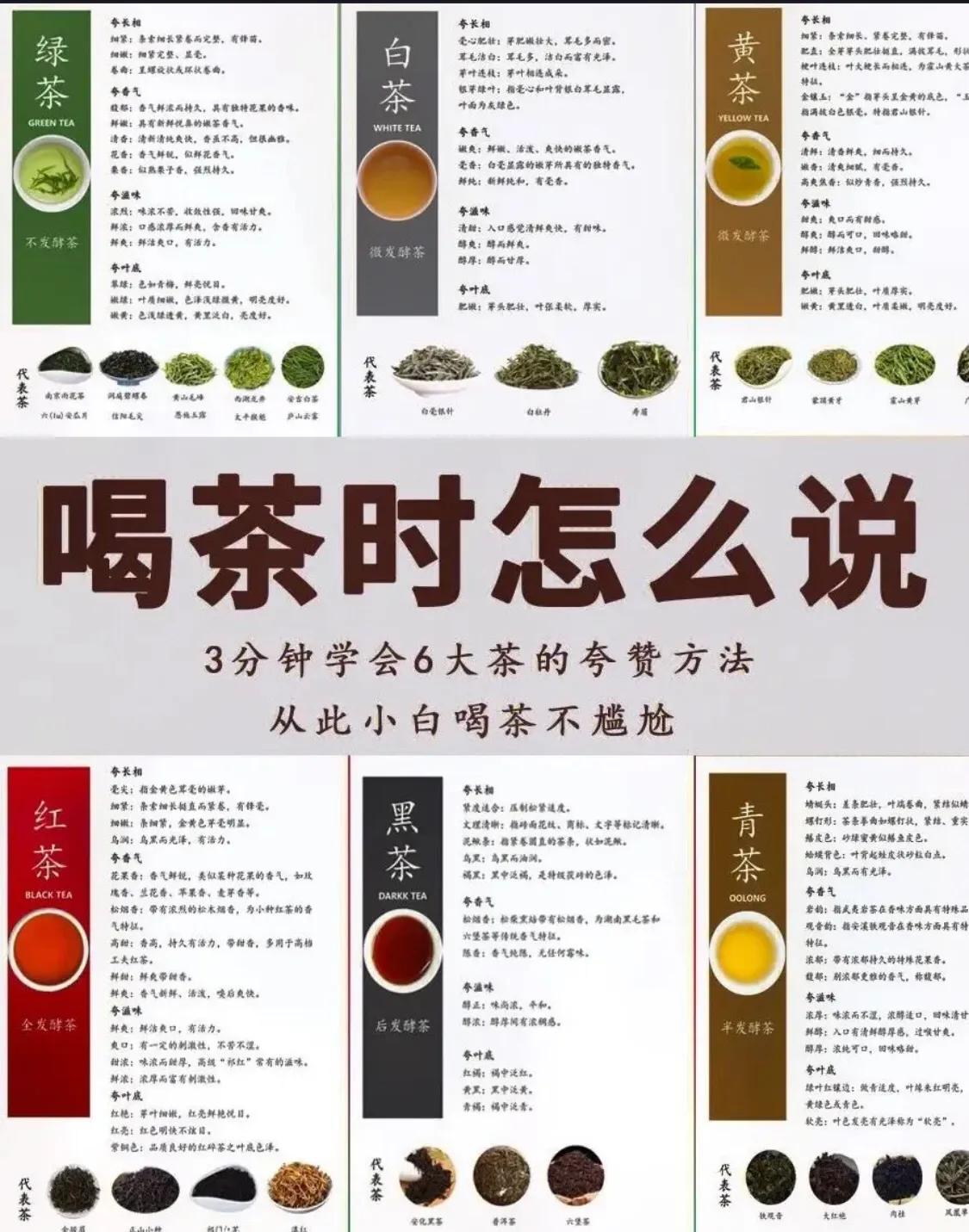 三分钟学会夸六大茶，简单易懂！
 