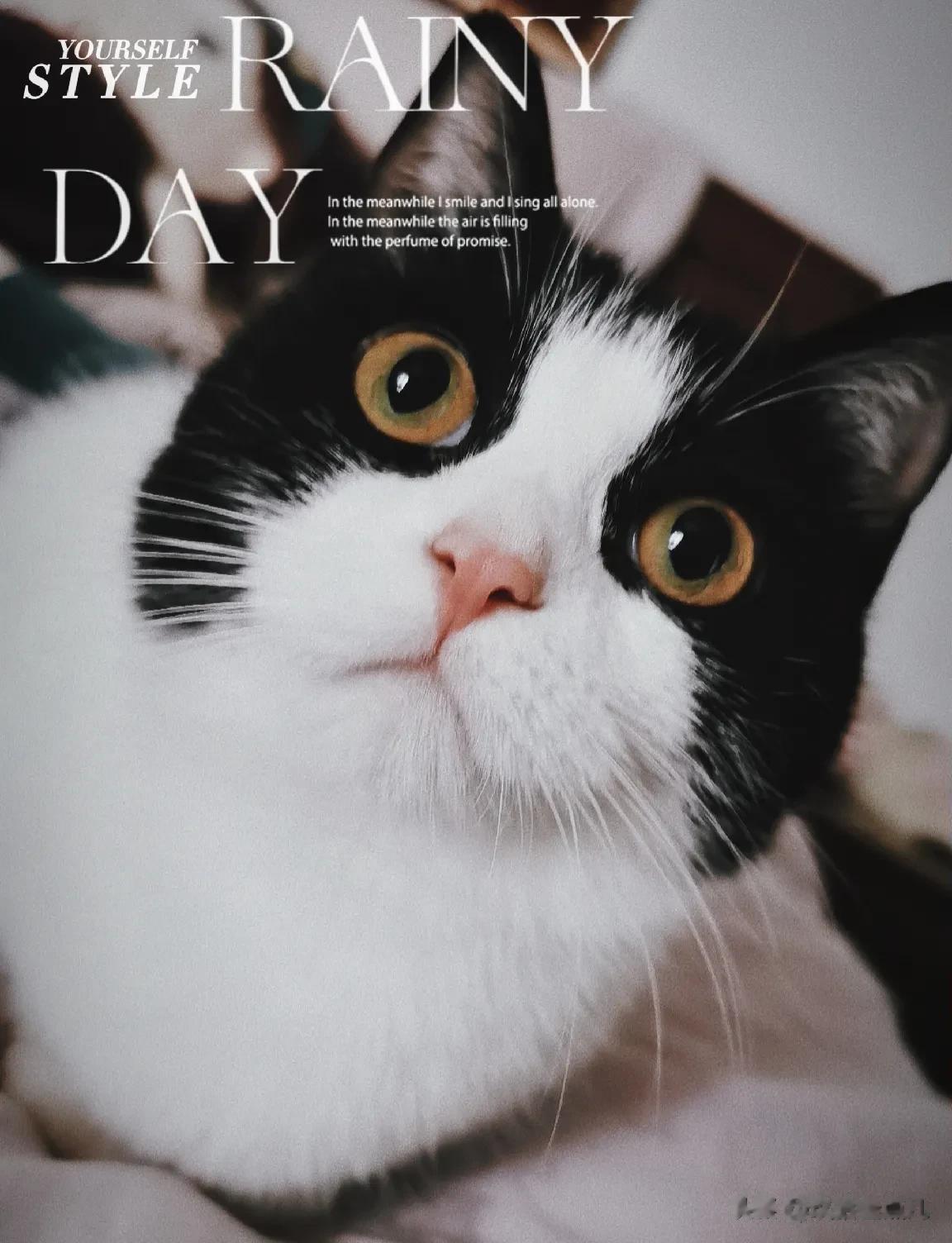 女人可知，
最不算数的是晚上说的话，胡话都是晚上说的。男人骗女人的话也多是晚上说