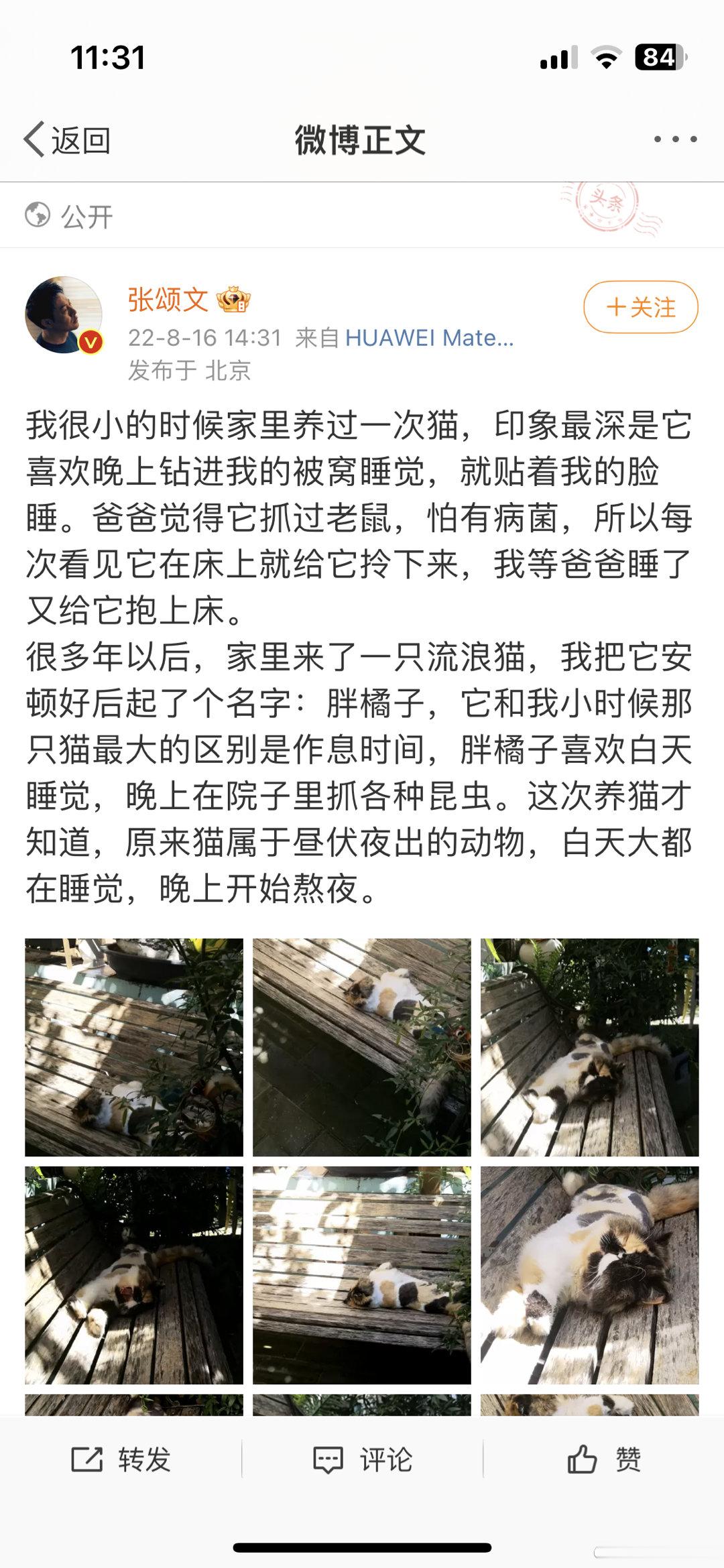哈哈哈哈哈哈“这只猫咪叫什么呀”“是不是只显示了图” ​​​