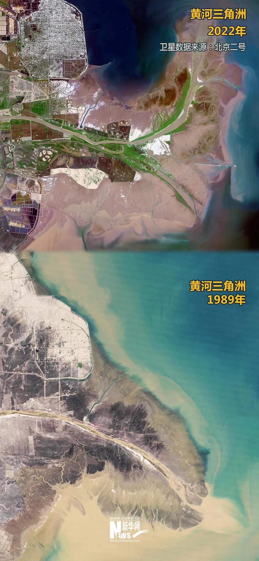 黄河出海口