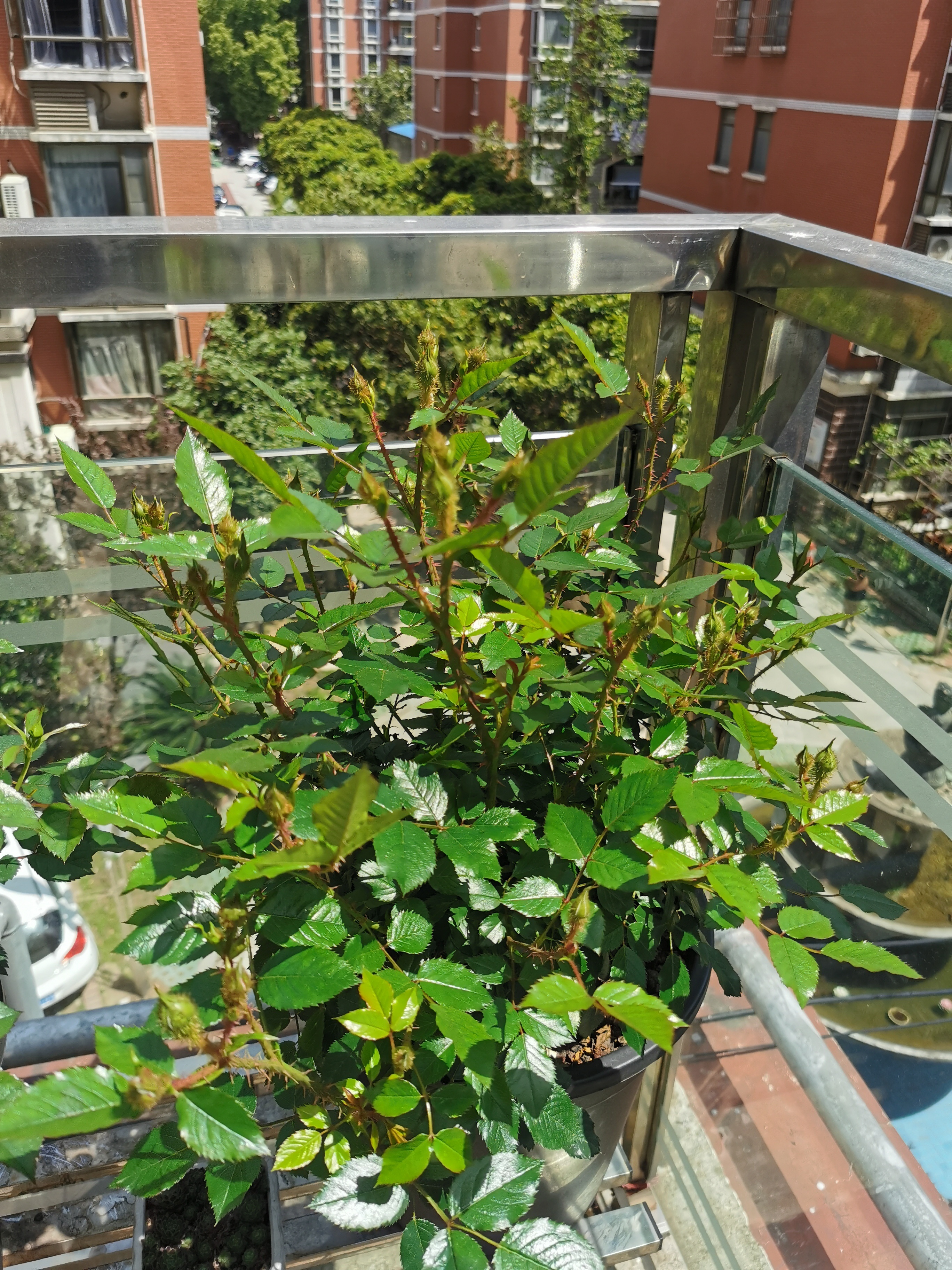 勃勃生机，万物竞发 ​​​