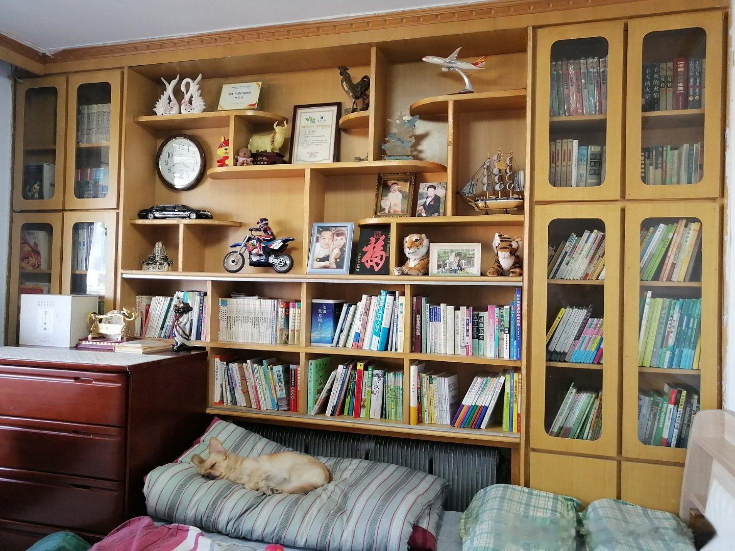 小狗葛优躺，睡的可真香。本是我卧室，好像它书房。你可有知识，装模又作样。来世若投