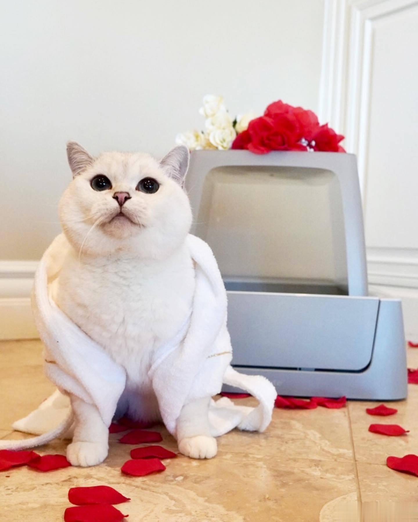 呀！coffee仔你在干什么 ​​​