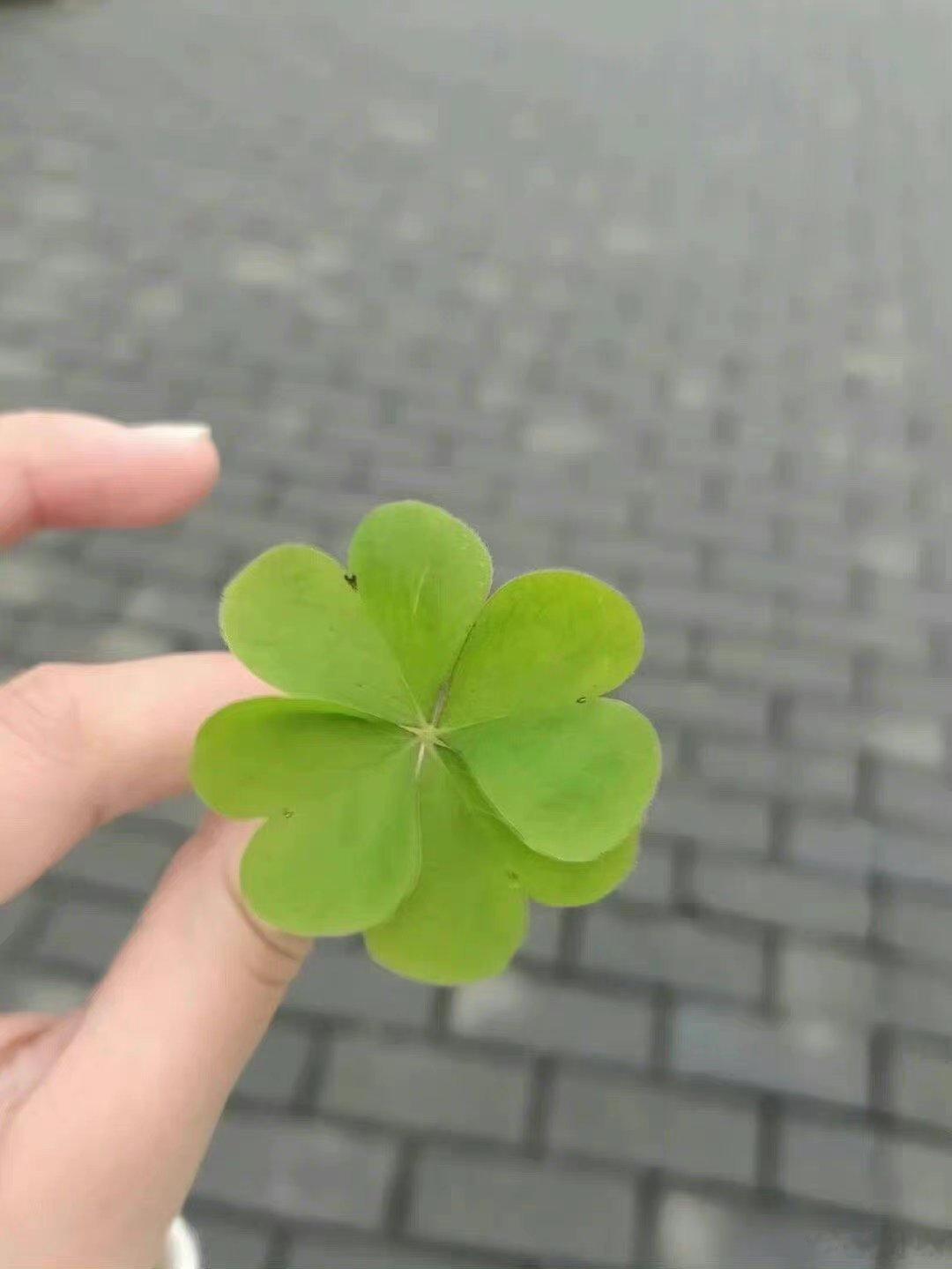 进来许愿！！！真的超级灵啊啊啊啊 ​​​