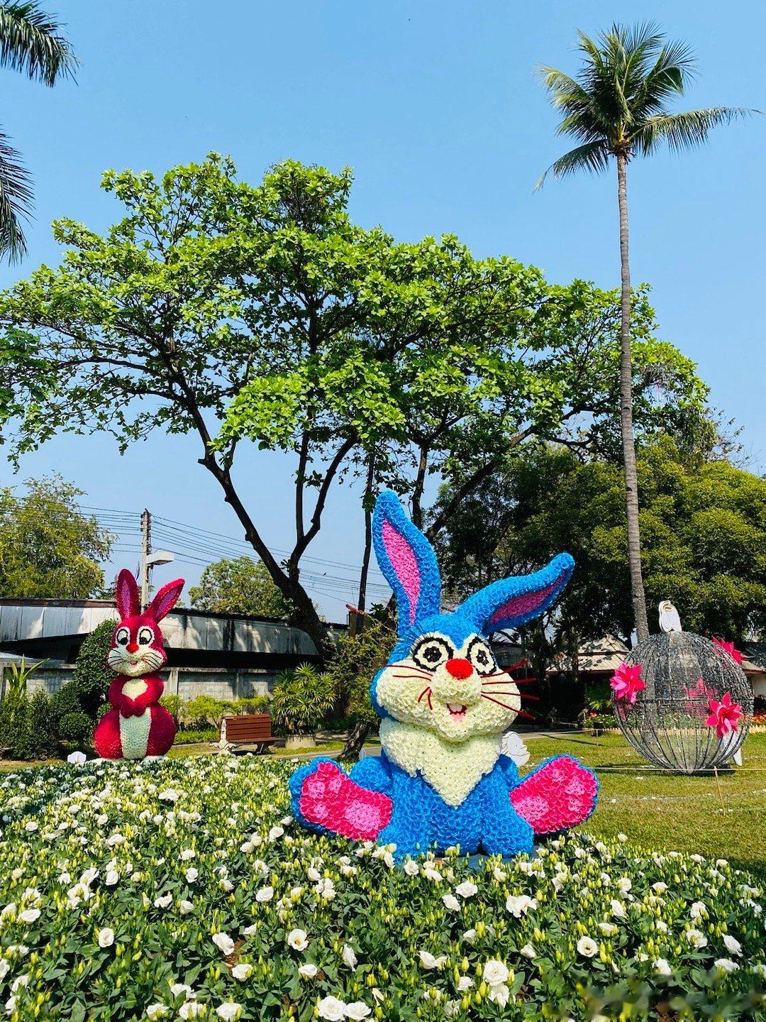  清迈鲜花节今天开幕。  ​​​