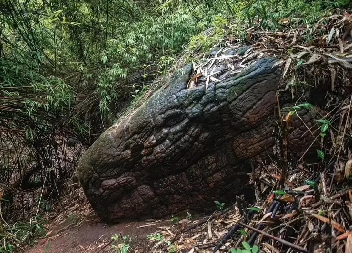 她最终还是渡劫失败了！
100000年前，有一条叫做小黑子的蛇精，她是白素贞的老