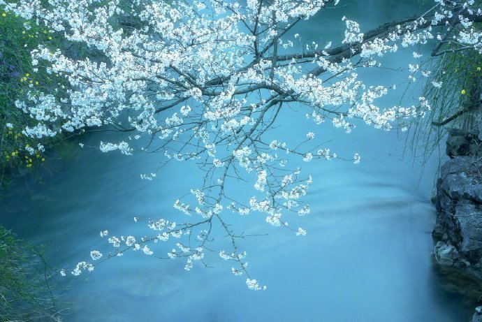 【心在旅行】        桃花开罢杏花开        春天过去夏天来    