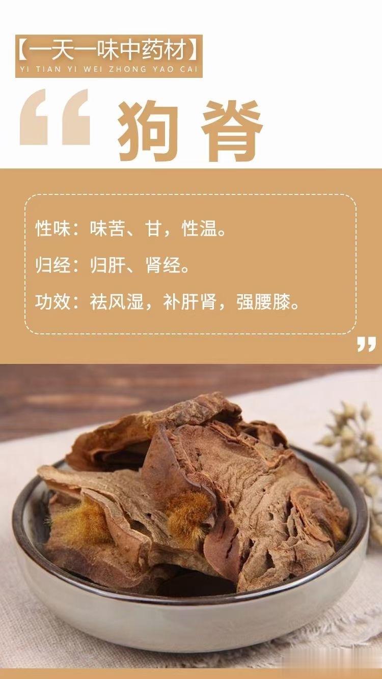  🌺🌺【一天一味中药材】[