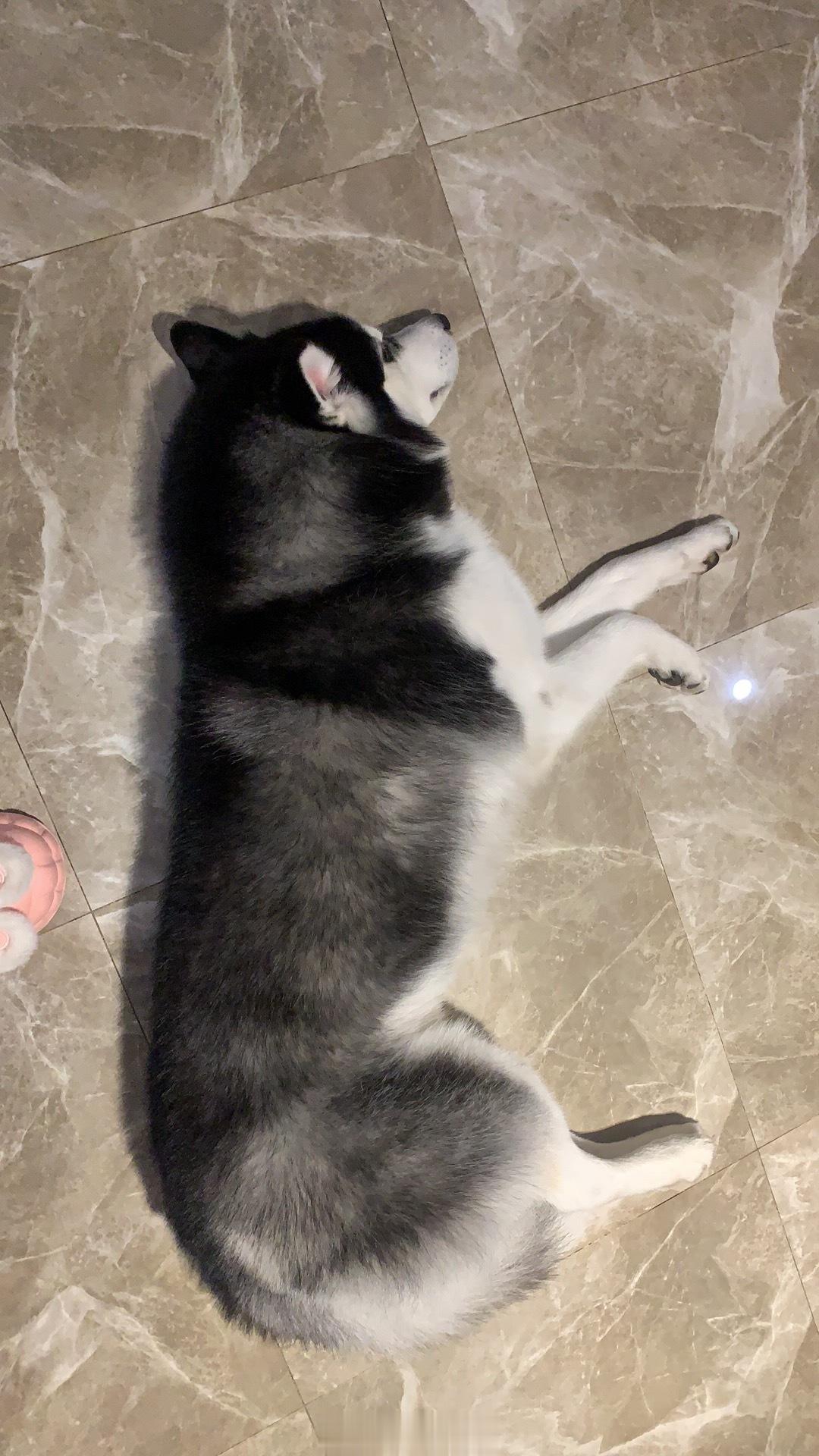  ​​​