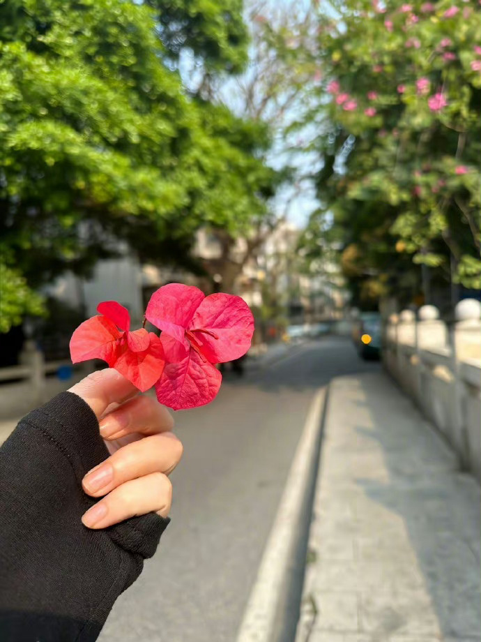  明明知道你已为我跋涉千里，却又觉得芳草鲜美，落英缤纷，好像你我才初初相遇。 ​