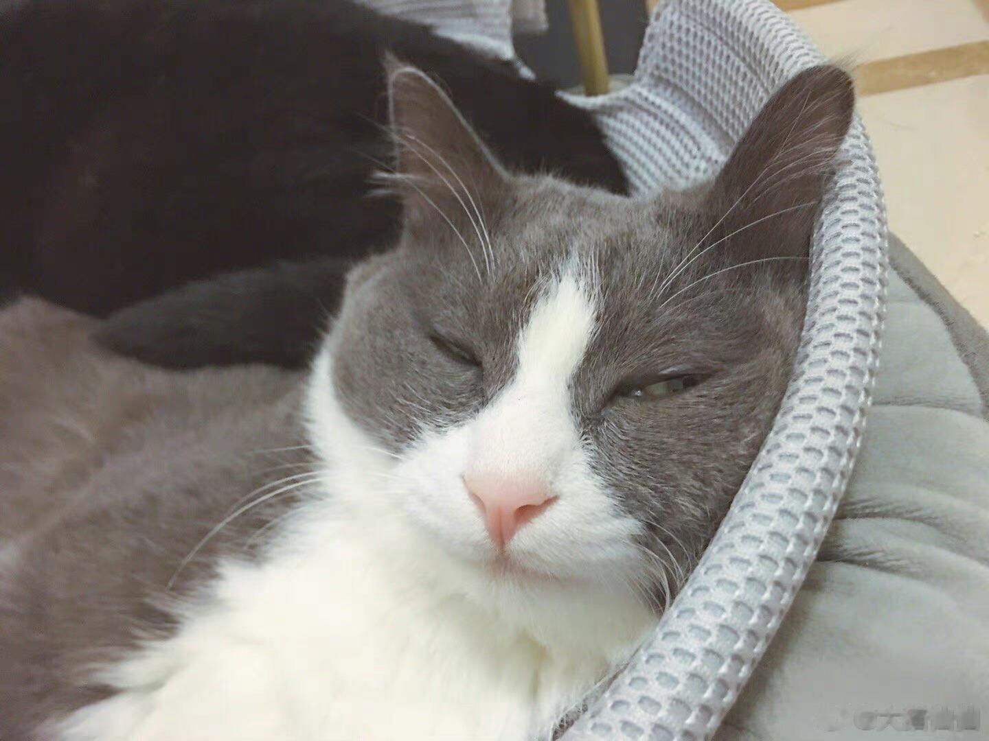 拒绝口呼吸太好笑了 ​​​