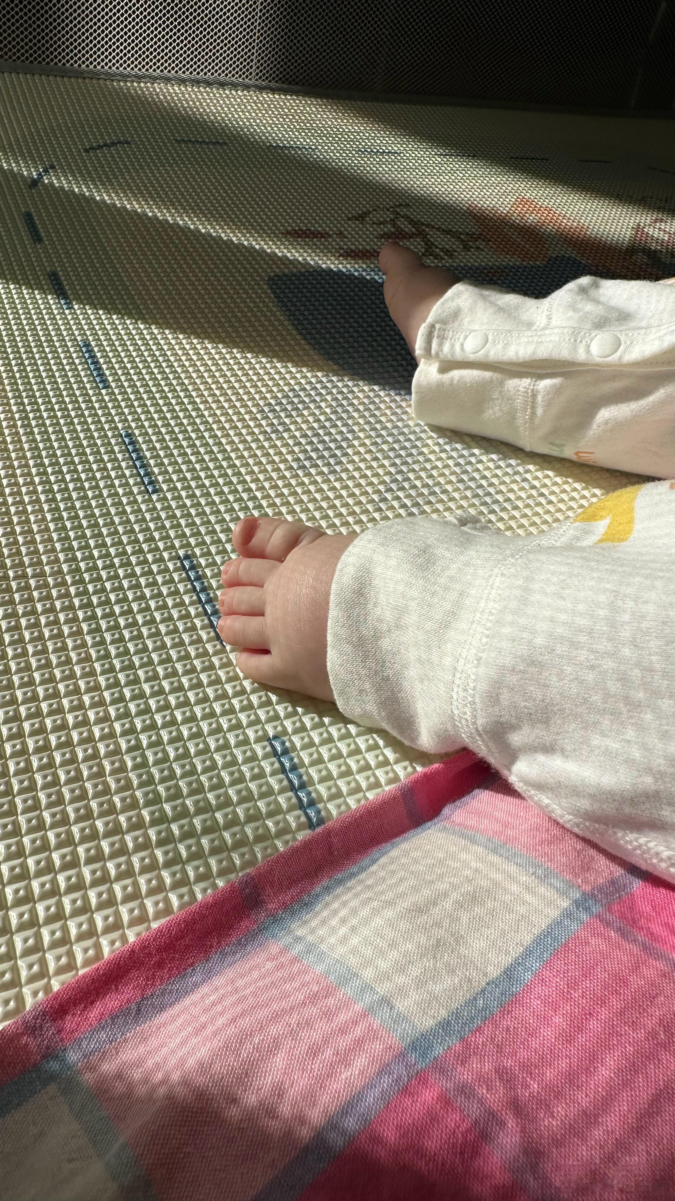  人类幼崽的小胖丫 ​​​