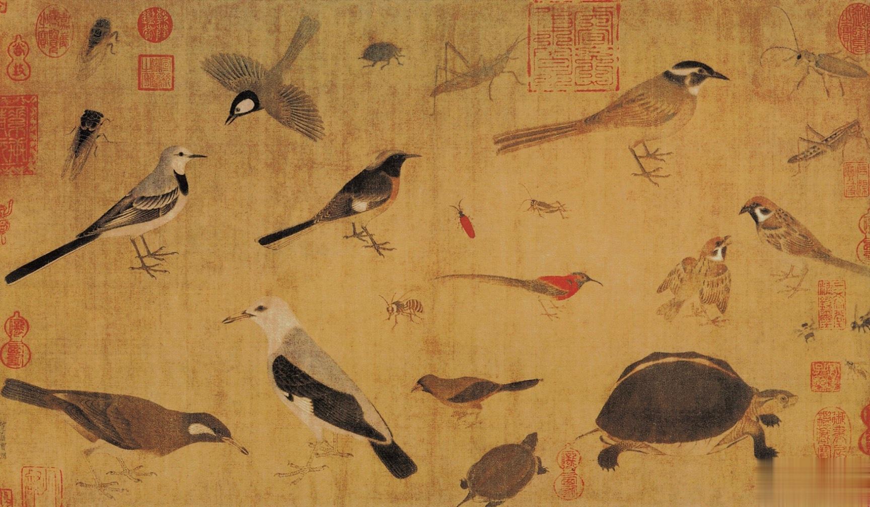 不只宋徽宗会画写生珍禽图，人家黄筌也会画。#沅汰博物馆# 蜀主孟昶的宫里也有翰林