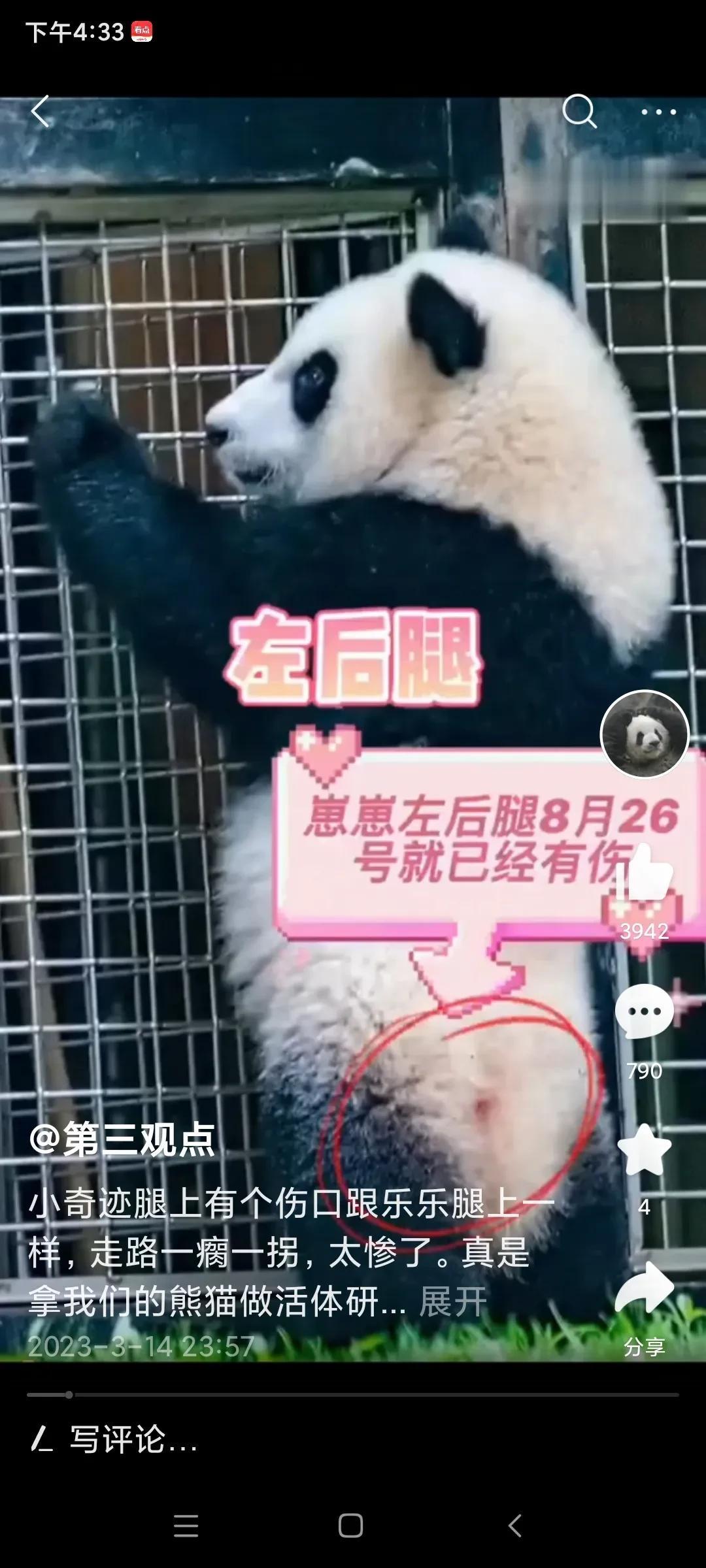 奉劝美国能不能不要拿熊猫做实验了，熊猫在地球存在时间比人类都长，有800万年，人