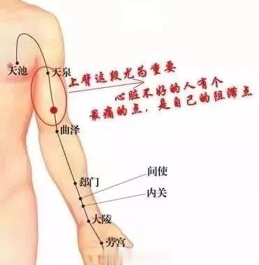 能救命的一个“痛点”，一定要揉开[good]提示：在心包经上有一个“救命点”，这