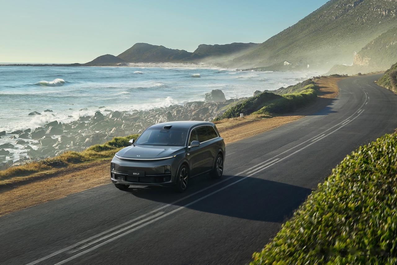 16辆！1348辆！7996辆！1月大型SUV榜单之中只有3款车型！这三款车型分