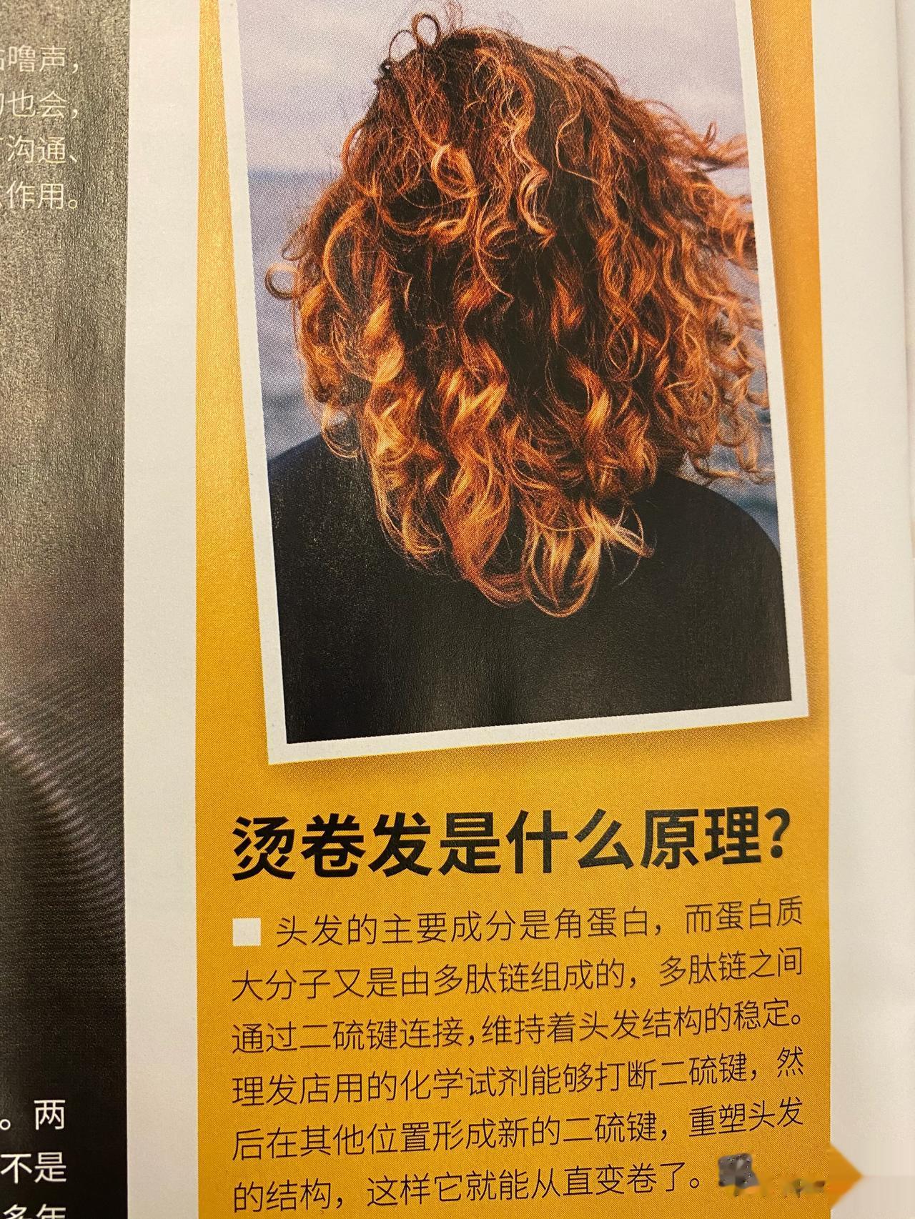 给喜欢烫头发的小姐姐看看（我知道我的粉丝里95%都是老爷们，但至少你们可以给身边