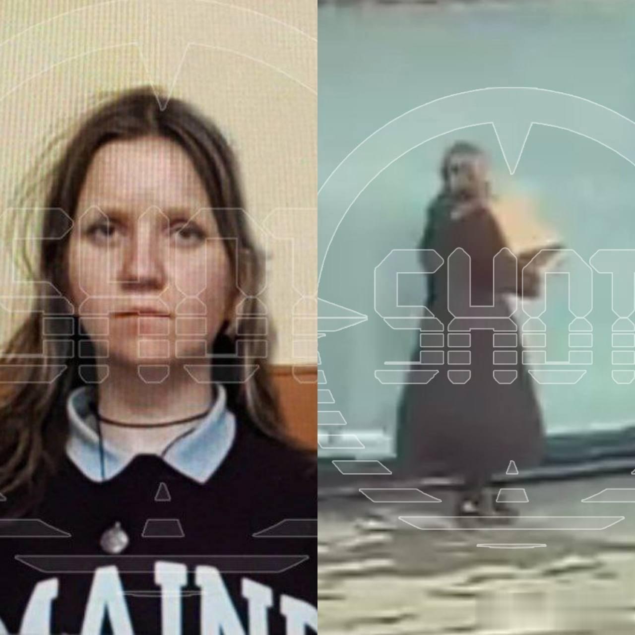 涉嫌谋杀知名军事记者弗拉德伦·塔塔尔斯基的特雷波娃，有大量照片曝光，看着是很怪怪