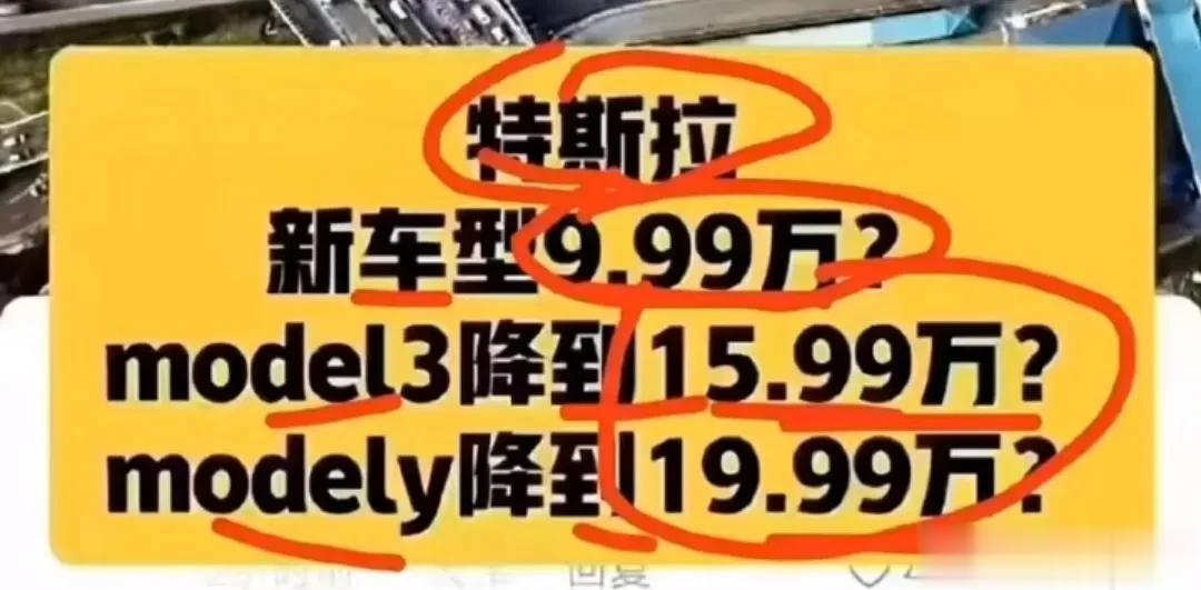 特斯拉新车型9.99万？
毛豆315.99万？
毛豆Y19.99万？
难道新的一