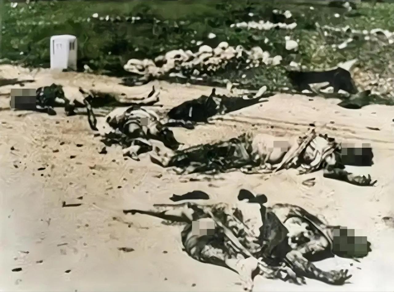 1969年，马来西亚爆发了一场极其严重的种族冲突。这场冲突主要是由于马来人与华人