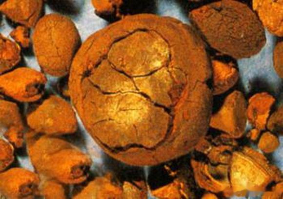 天然牛黄90万元/公斤，中药材价格在“狂飙”！[话筒]导读：近期各类中药材价格出