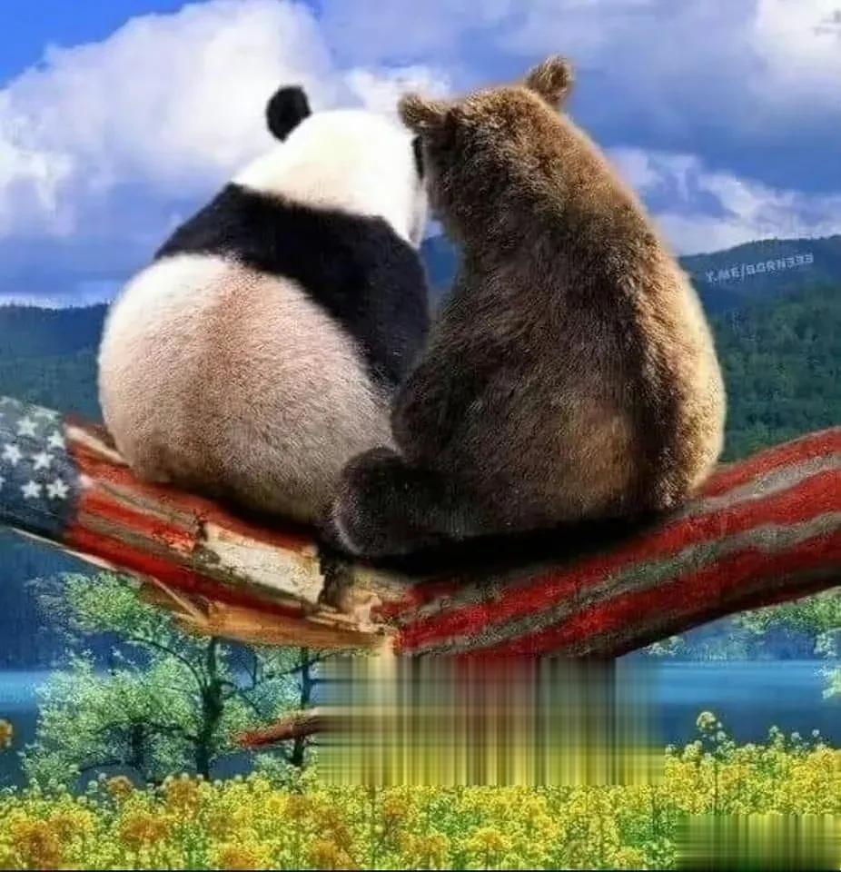 美媒：中俄正建立一个新的世界秩序，其中没有美国的位置。
       ​据《华盛