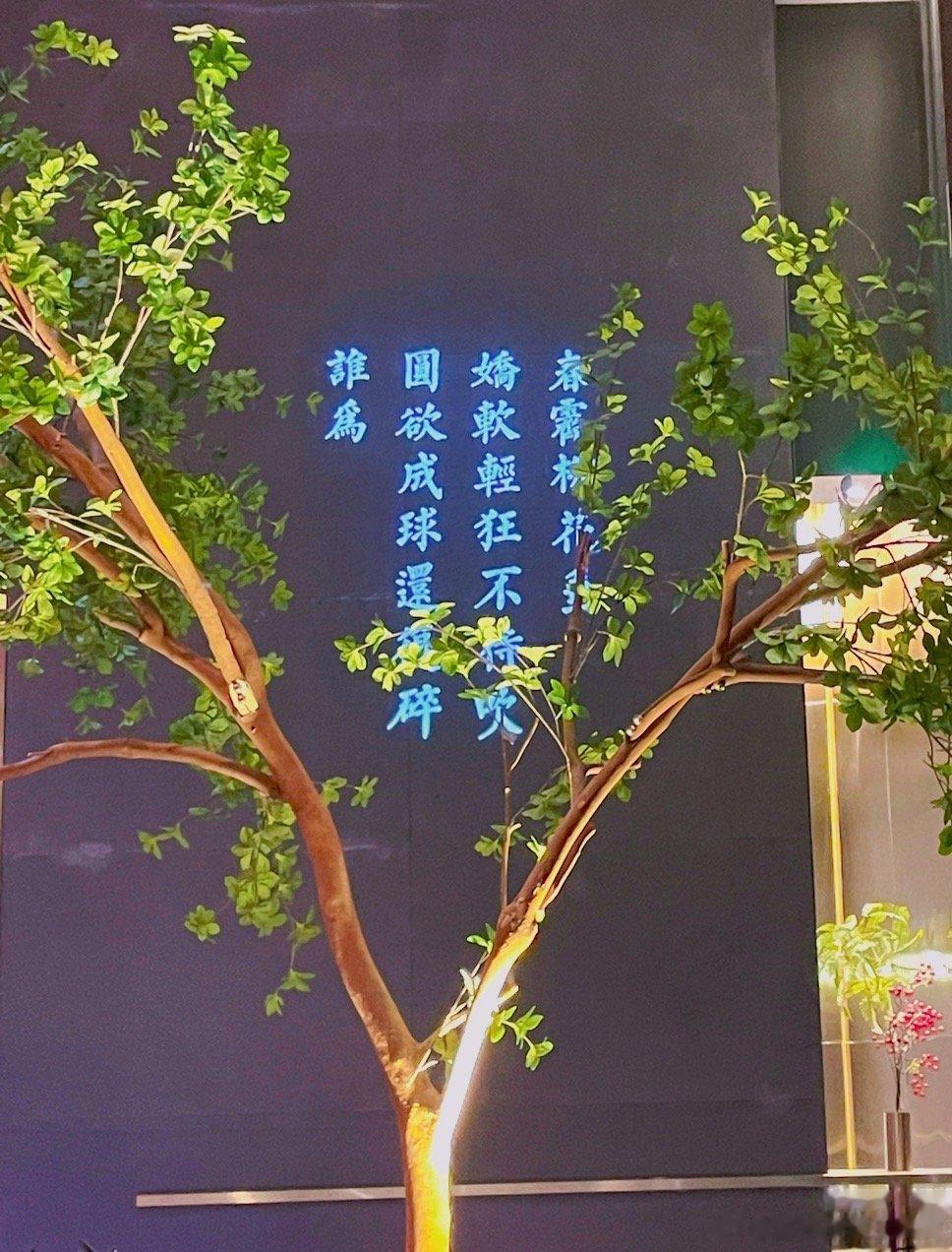 #春分该吃什么# 到了吃香椿的季节啦！昨天以为买了豆苗，结果来了发现是香椿[偷笑