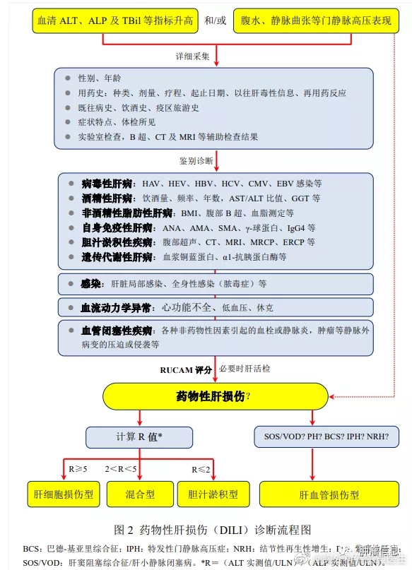 #什么行为容易伤肝#给大家科普一下抗肿瘤药物致肝损伤的分级#向肿瘤说拜拜##肝损
