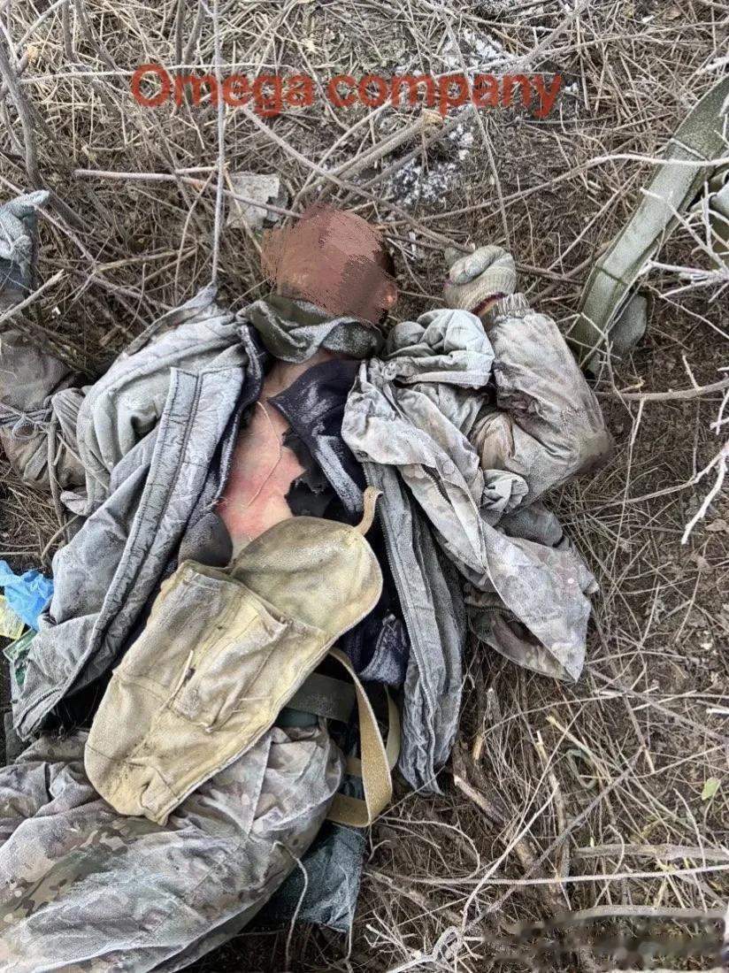 曝尸荒野、冻成冰渣的前线俄军阵亡遗骸，寂静的躺在荒芜荆棘的杂草丛中，都无人肯替他