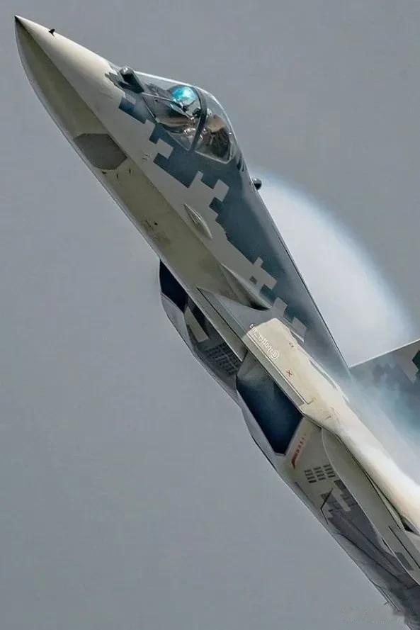 俄系战机侧颜照，战机空对空拍摄实属不易，这个角度应该是最能体现出飞机整体外形的，