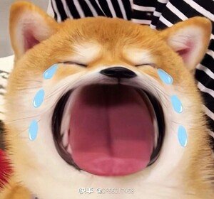 你们最近都在玩什么看什么我好无聊喔 ​​​