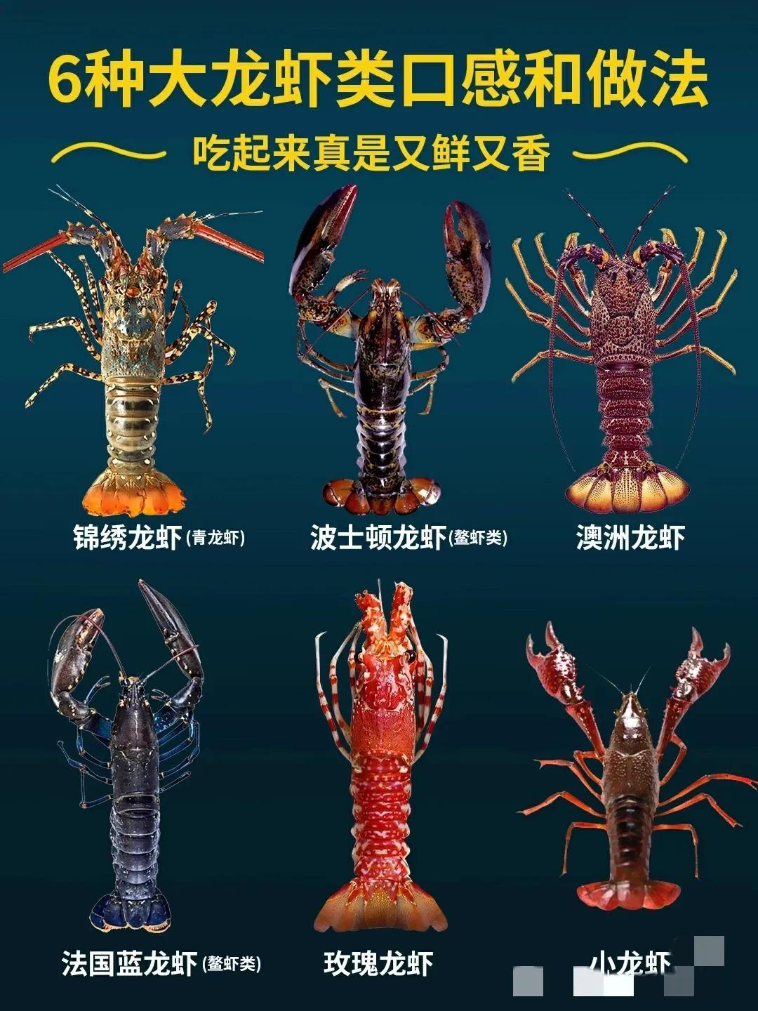 6种龙虾及做法，在家就能做龙虾大餐。