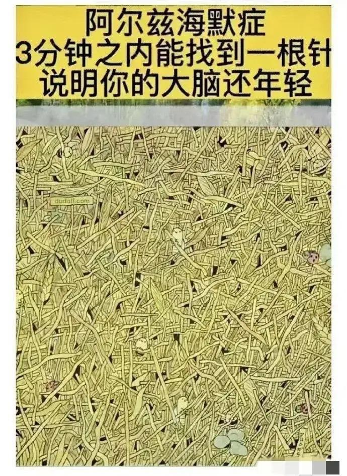3分钟之内能找到一跟针，说明你的大脑还年轻。支持抖音传播正能量 视力测试 @抖音
