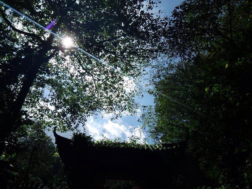 贵州民族大学研究生调剂系统没反应，有调剂的吗，工商管理，公共管理，CC有吗，有收