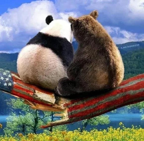 俄罗斯人的漫画就是牛🐂，很形象的诠释了当今世界局势！