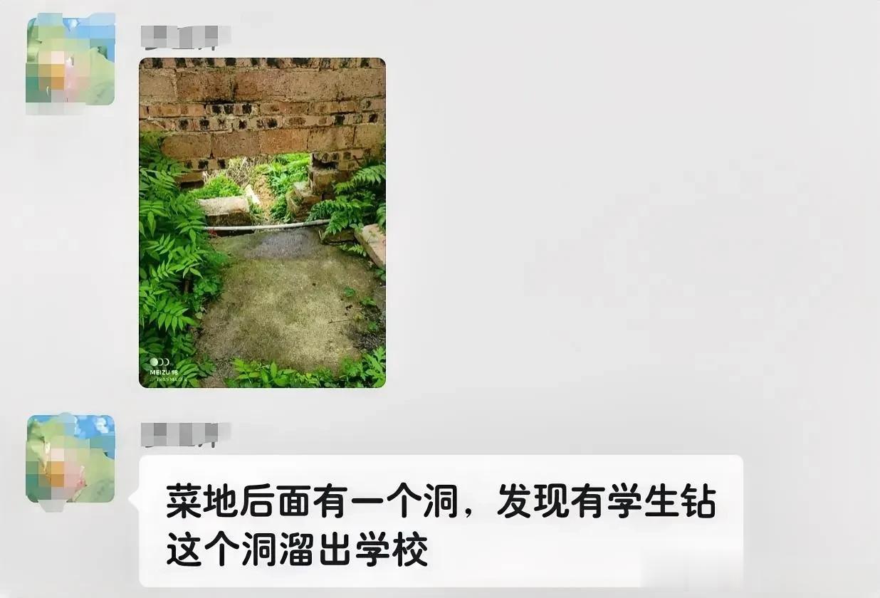  
学生从狗洞逃跑了！
今天在群里一个班主任说学校菜地后面有一个狗洞。
发现她们