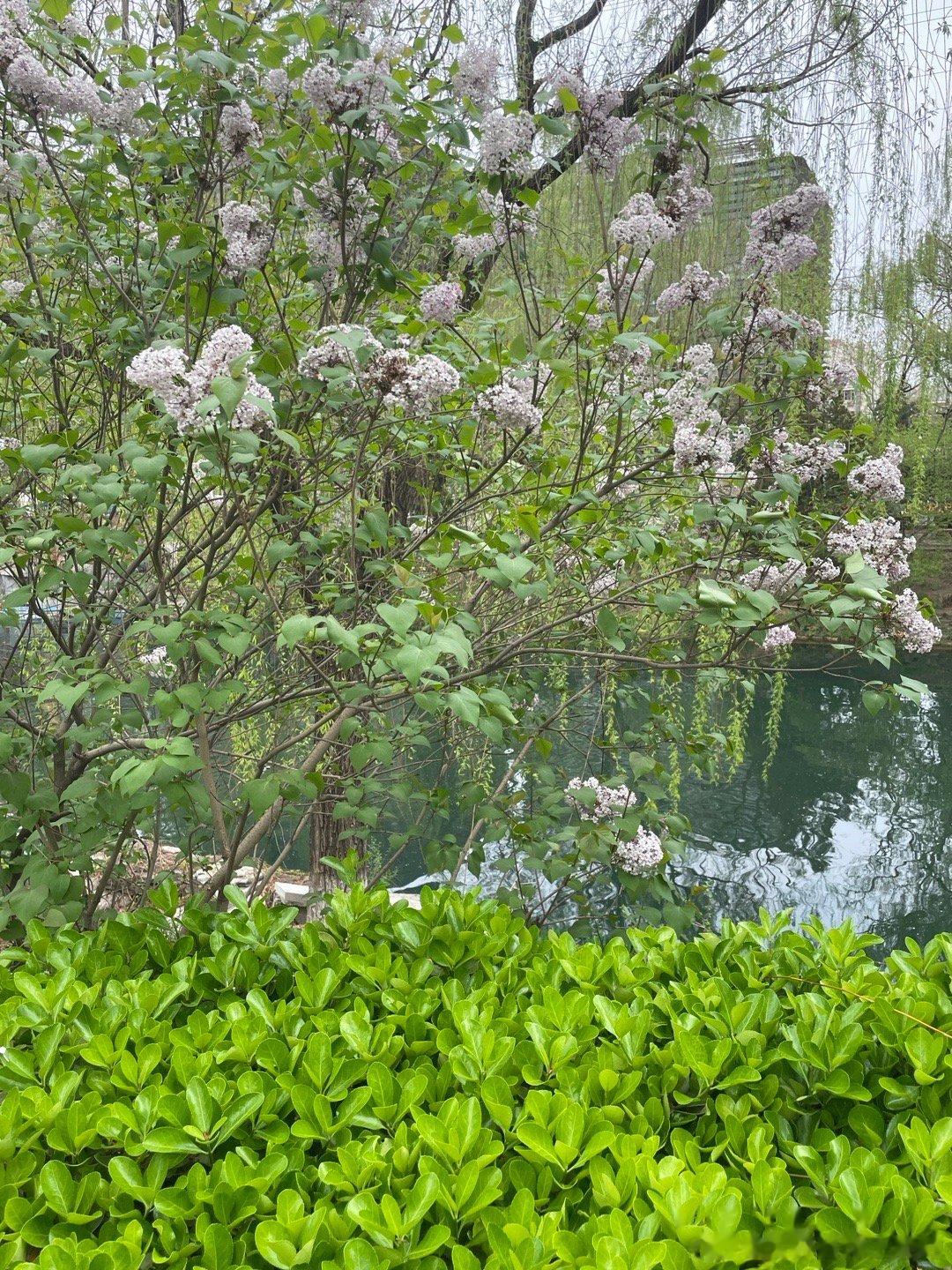  口罩可以焊在脸上了 在室外活动时，穿戴防风镜、纱巾、口罩等防风防尘物品，遮住任