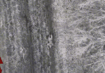 “天上‮死的‬神，求求你‮过放‬我！”
俄乌‬战场，一名‮伤受‬的‮兵士‬正在‮