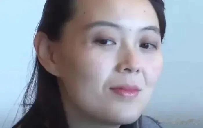 朝鲜劳动党中央委员会副部长金与正表示，面对俄罗斯军队坚不可摧的力量，乌克兰从西方