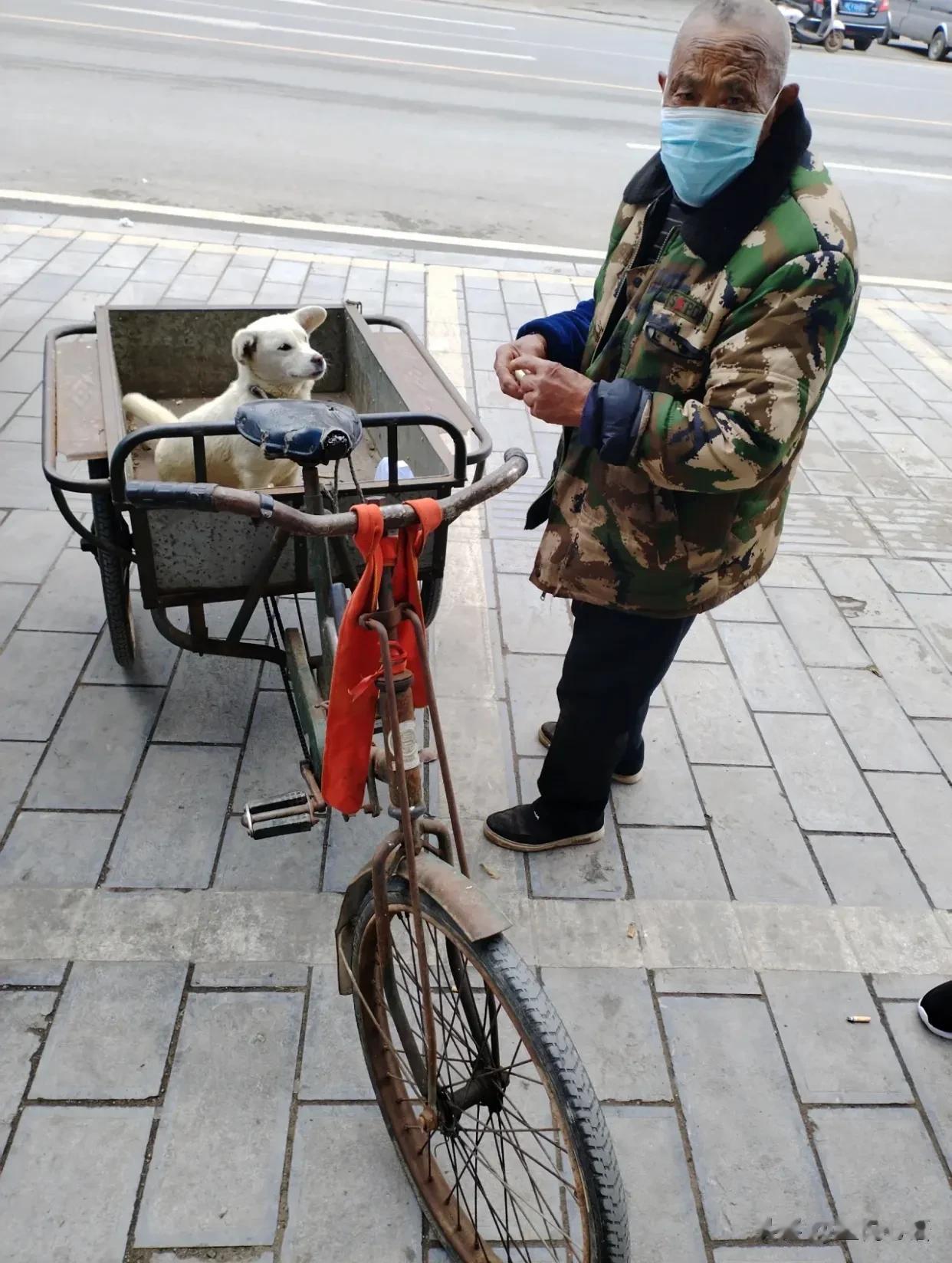 好有灵性的的小狗狗，一位老爷爷下车买药把狗狗拴在三轮车上，车子没有完全停好，突然